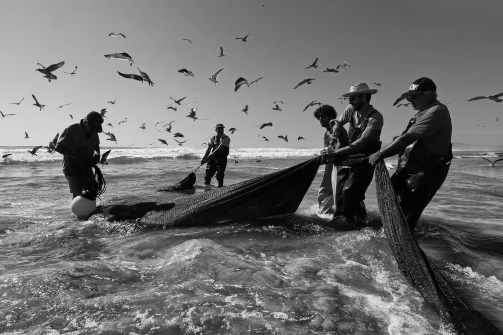 Coastal Fishing Crew by Josefina Melo — canvas wall art