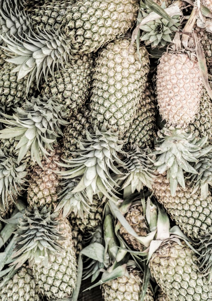 Display Of Pineapples by Shot by Clint — canvas wall art