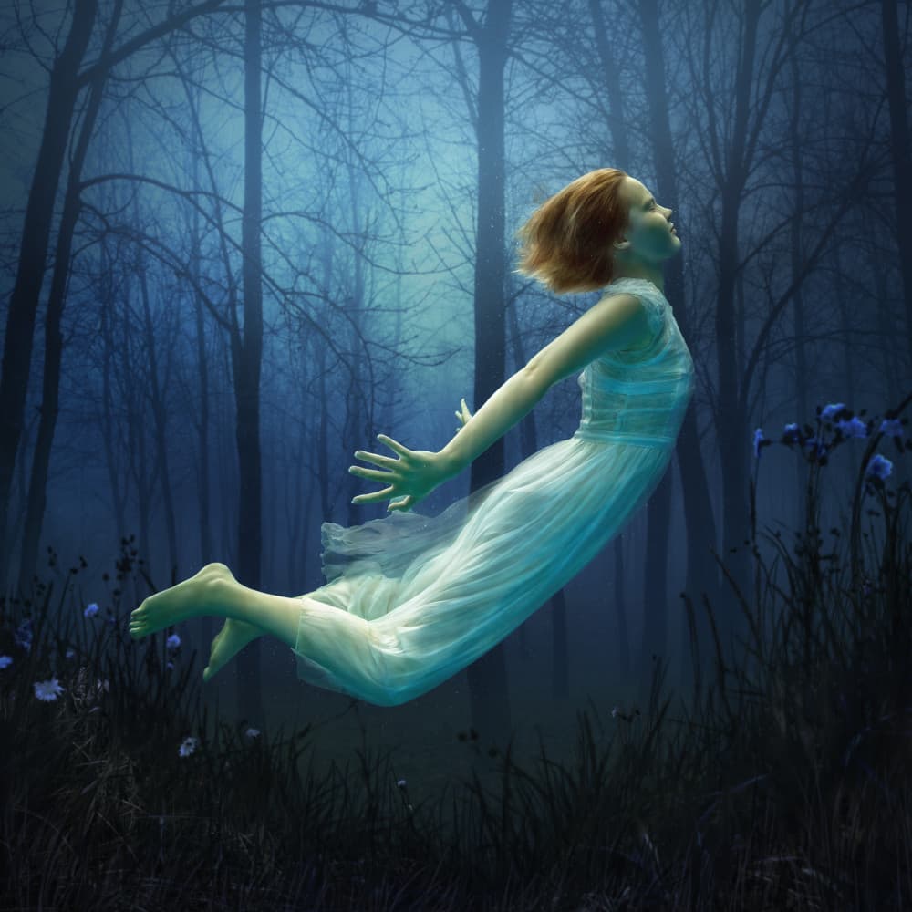 Ethereal Forest Dream by Dmitry Frizel — canvas wall art