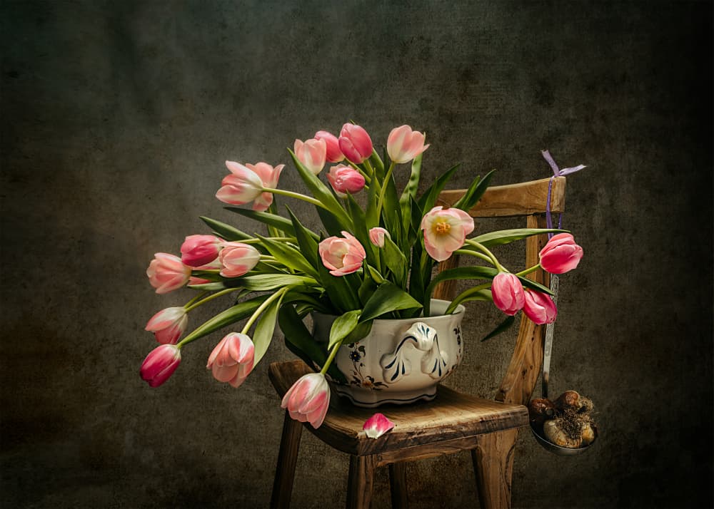 Elegant Pink Tulips by Vadim Kulinsky — canvas wall art