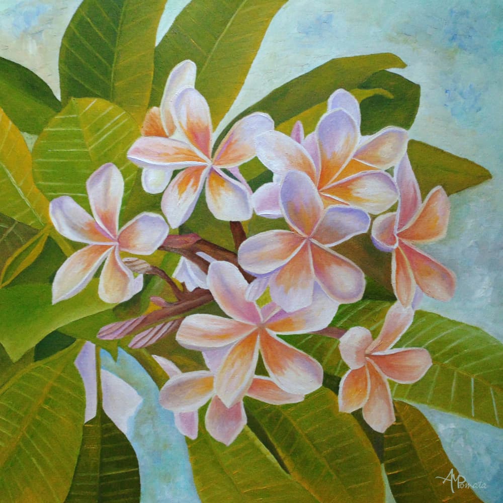 Soft Plumeria Blooms by Angeles M. Pomata — canvas wall art