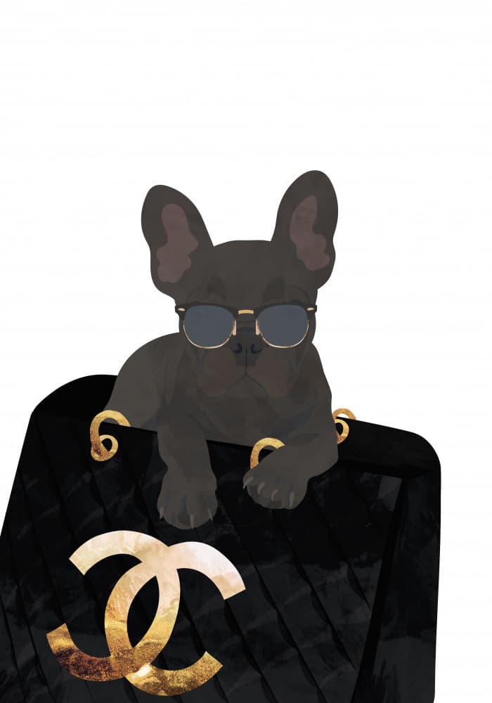 Stylish French Bulldog by Sarah Manovski — canvas wall art