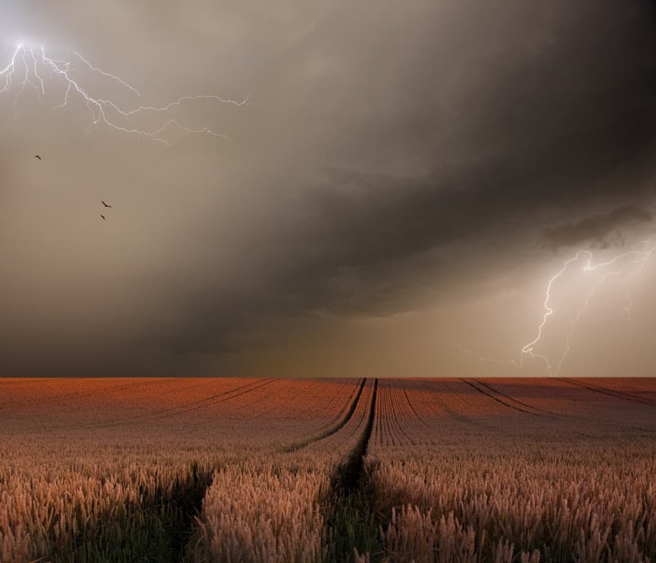 Lightning Over Golden Field by Nicolas Schumacher — canvas wall art