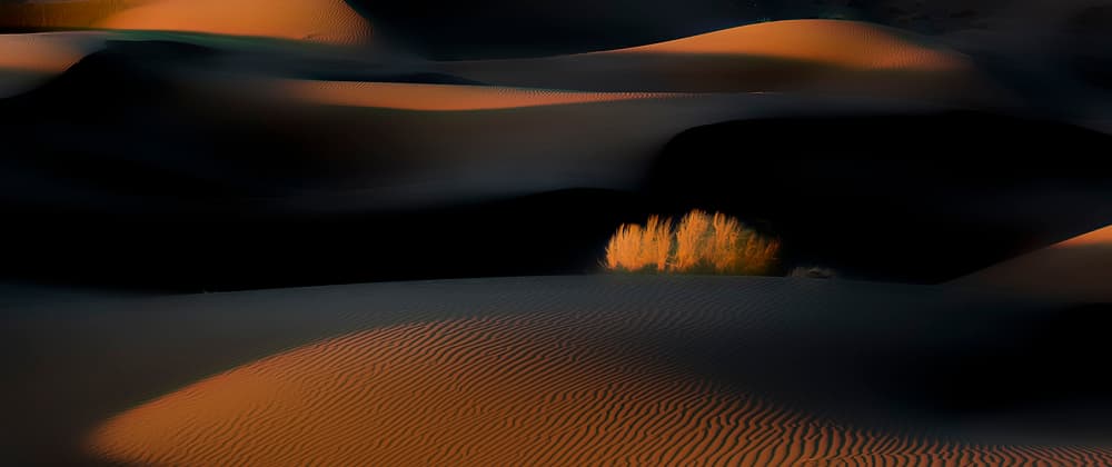 Golden Hour Desert Dunes by Asef Azimaie — canvas wall art
