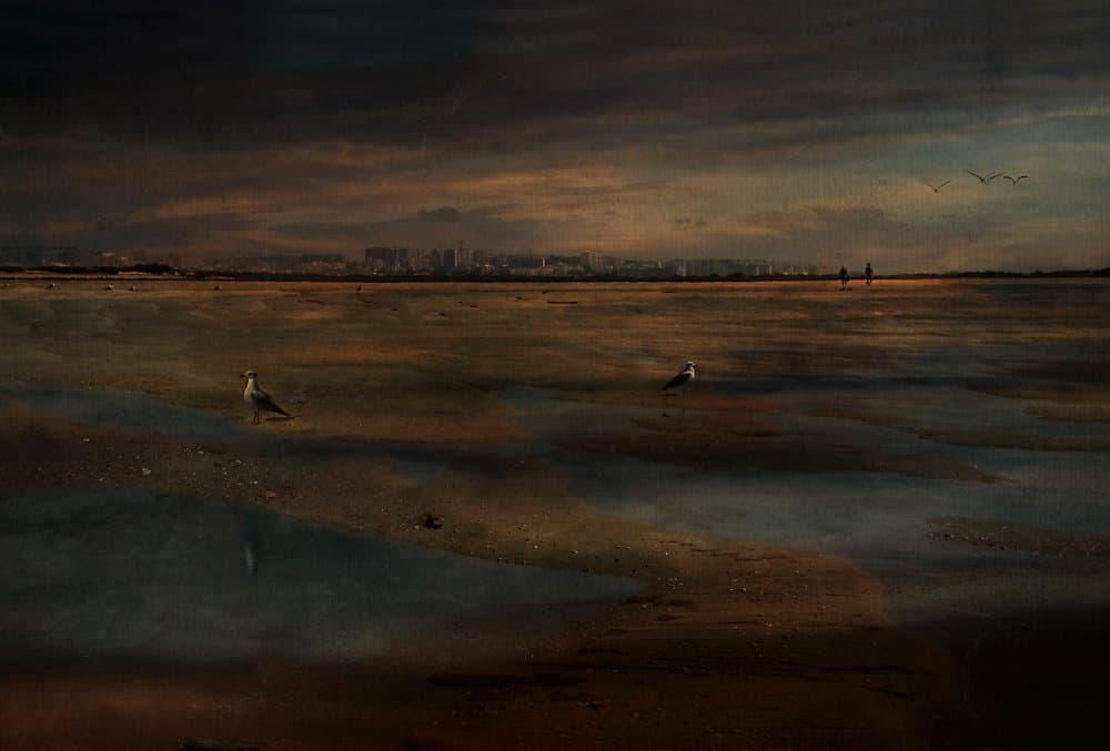 Dusk Beach Birds by Elena Arjona — canvas wall art