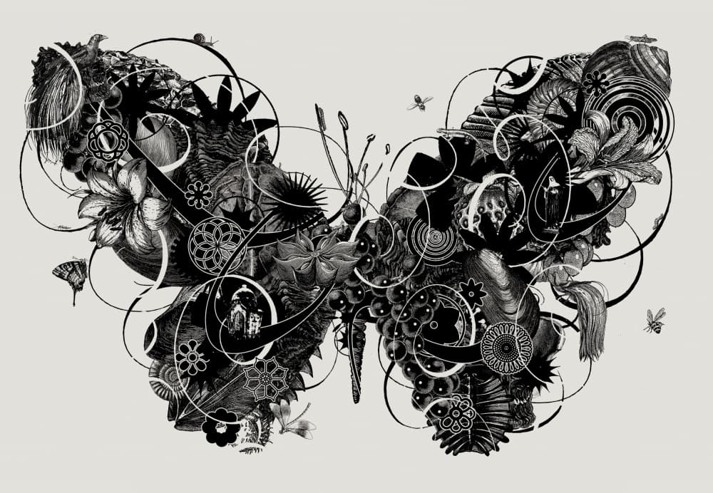 Surreal Botanical Butterfly by Jaco Putker — canvas wall art