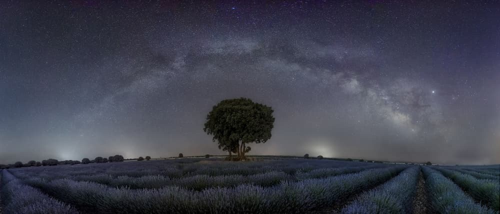 Milky Way Lavender Night by Fernando Molina — canvas wall art