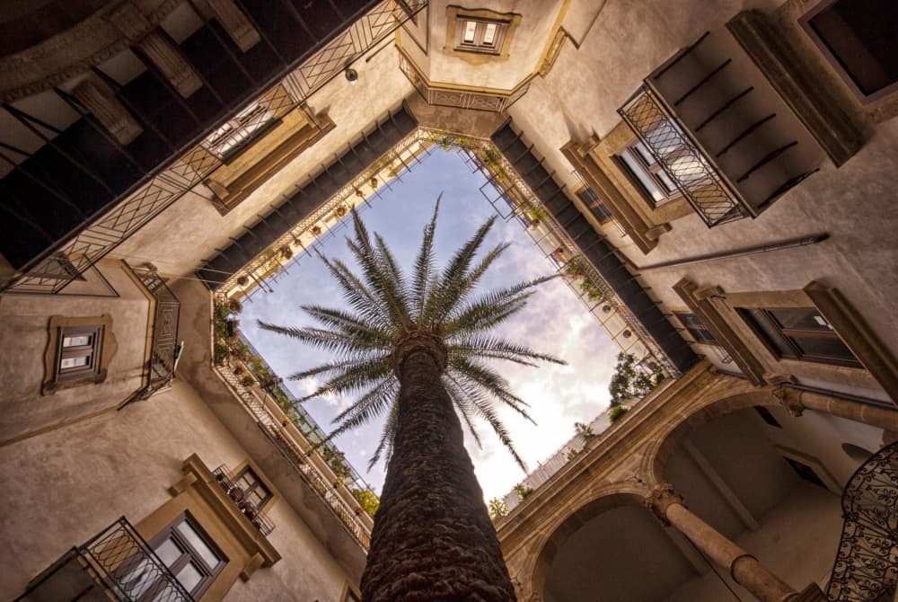 Palm Tree Courtyard View by Ezio Scaduto — canvas wall art