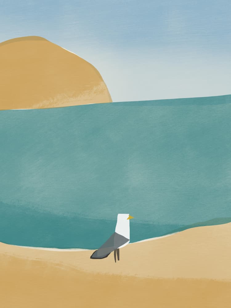 Calm Beach Seagull by Little Dean — canvas wall art