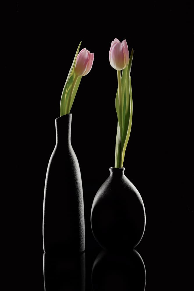 Pink Tulips in Vases by Linda Lu — canvas wall art