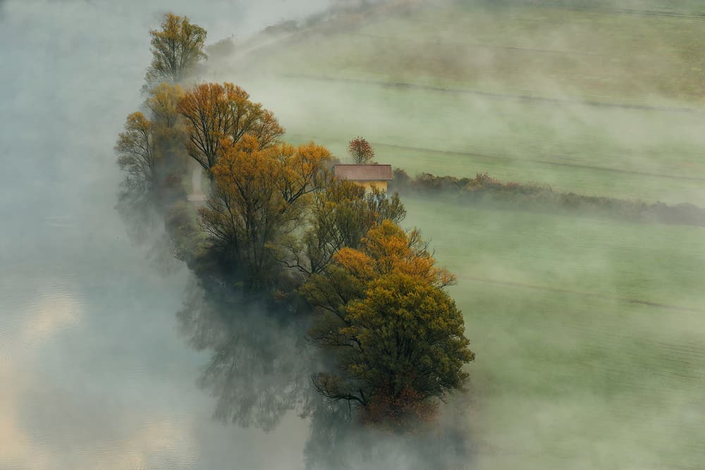 Misty Autumn Trees by Roberto Marini — canvas wall art