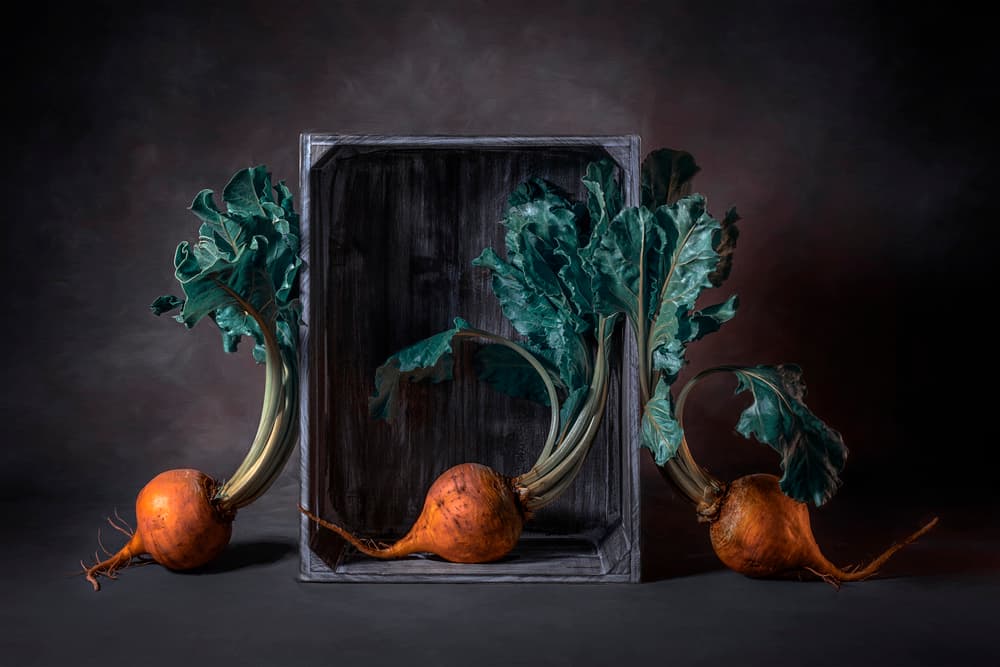 Golden Beets Rustic Still Life by Lydia Jacobs — canvas wall art