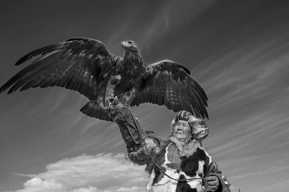 Eagle Hunter Spirit by Libby Zhang — canvas wall art