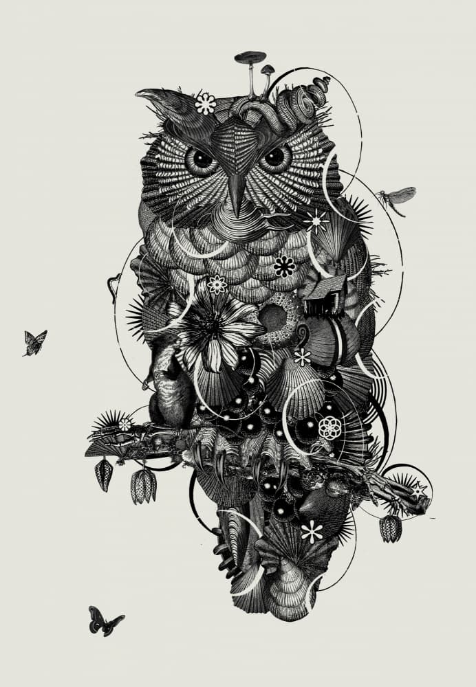 Mystical Forest Owl by Jaco Putker — canvas wall art