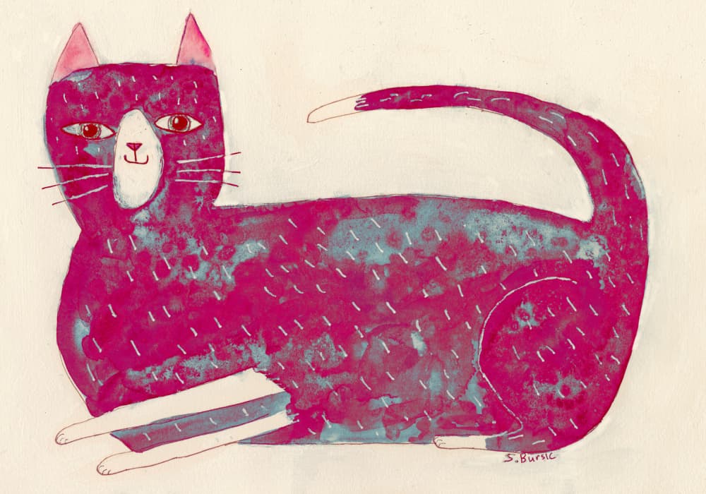 Big Pink Cat by Sharyn Bursic — canvas wall art