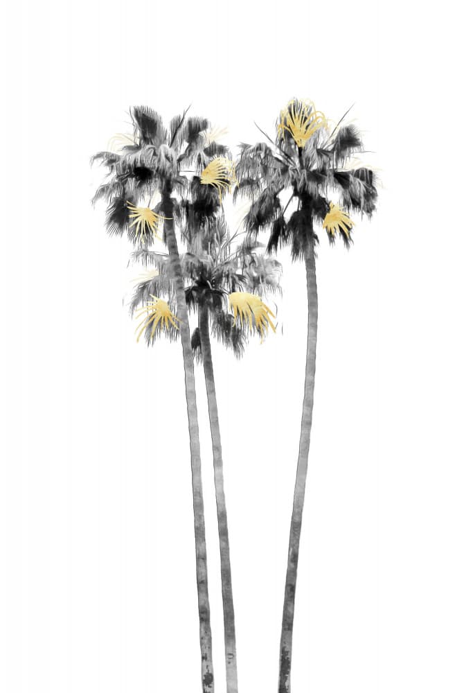 Elegant Golden Palms by amini54 — canvas wall art