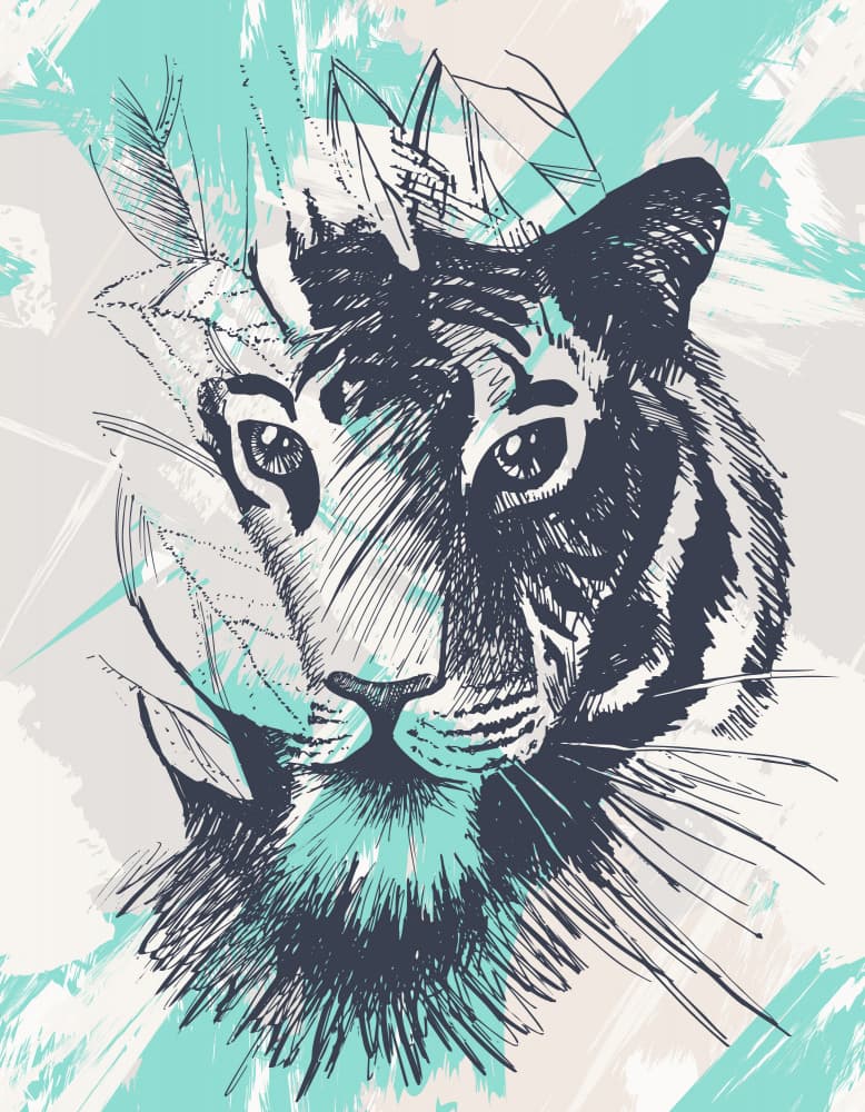 Wild Tiger Sketch by Marika Barsrsind — canvas wall art