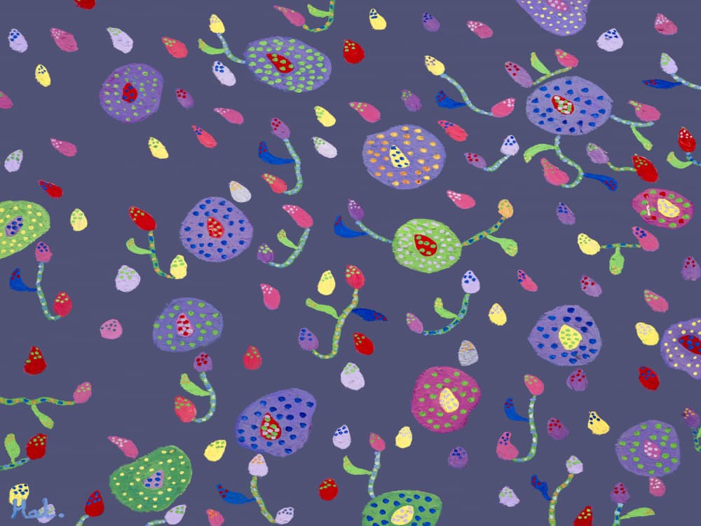 Colorful Dotted Blooms by Helen Joynson — canvas wall art