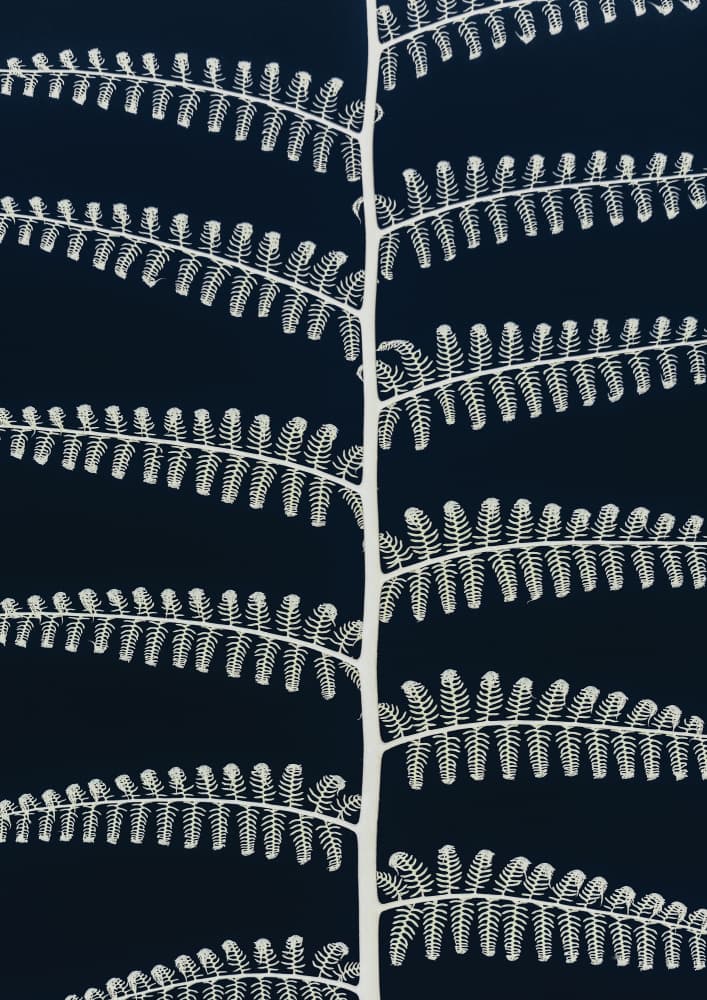 White Fern Patterns by Shot by Clint — canvas wall art