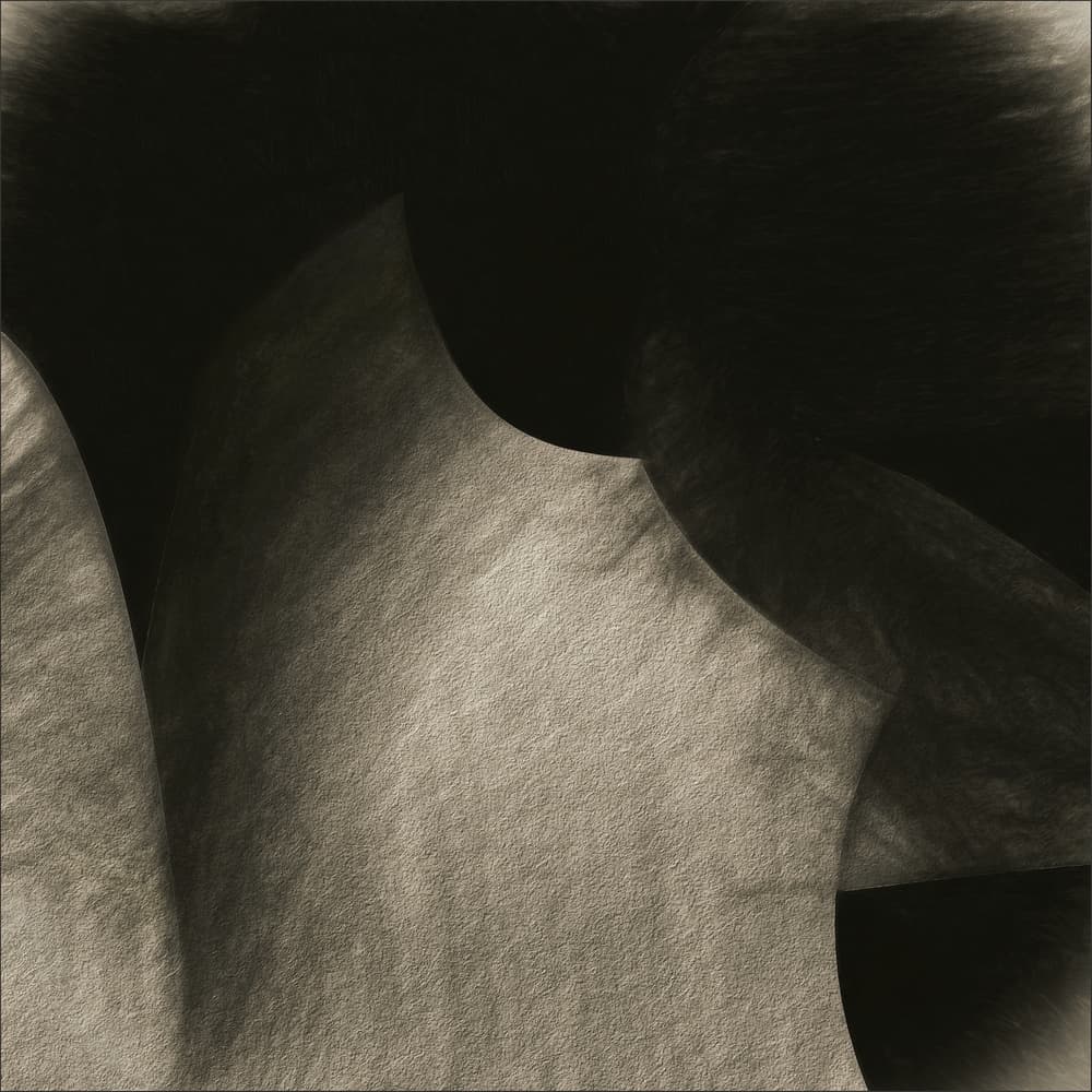 Flowing Sepia Curves by Gilbert Claes — canvas wall art