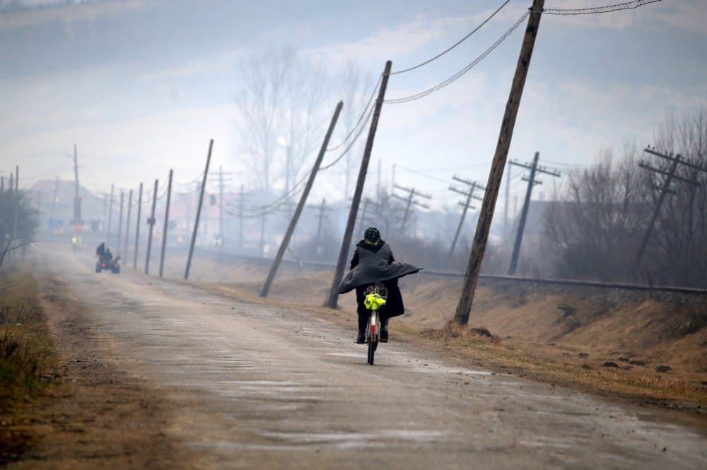 Misty Rural Bike Ride by Dzintra Zvagina — canvas wall art
