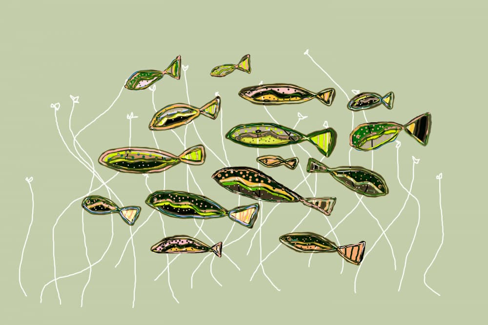 Playful Green Fish School by Christina Sillen — canvas wall art