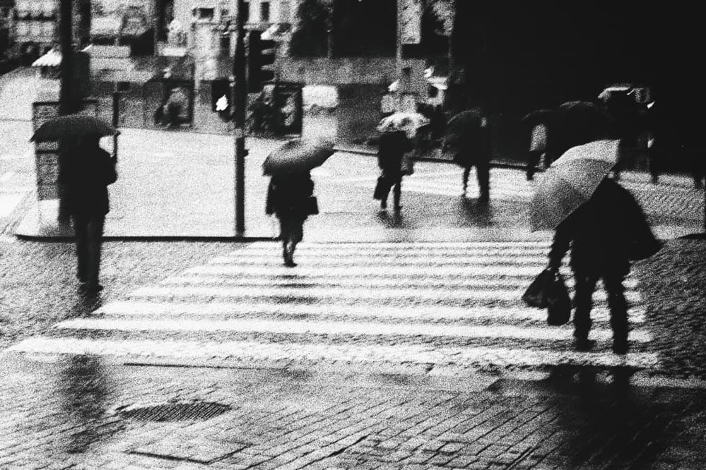 Rainy City Crossing by Rui Correia — canvas wall art