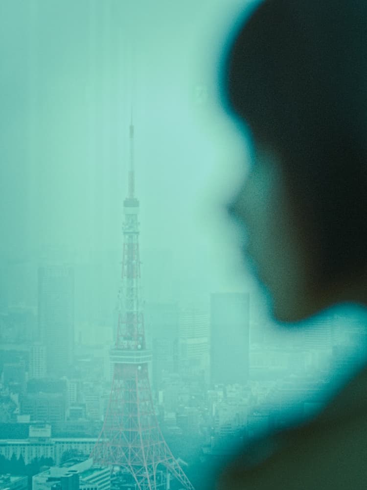 Hazy Tokyo City View by moucorn — canvas wall art