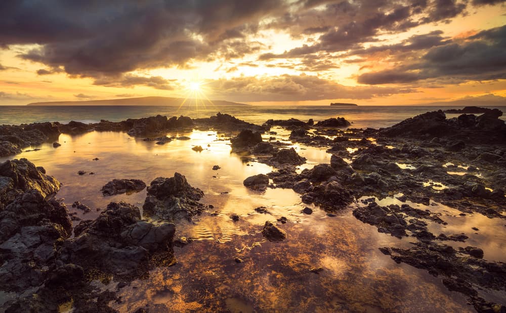 Golden Hour Tide Pools by Matt Anderson — canvas wall art