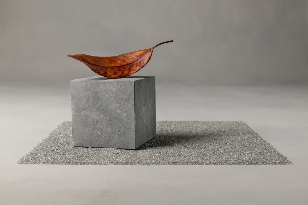 Minimalist Leaf Concrete Still Life by Christophe Verot — canvas wall art