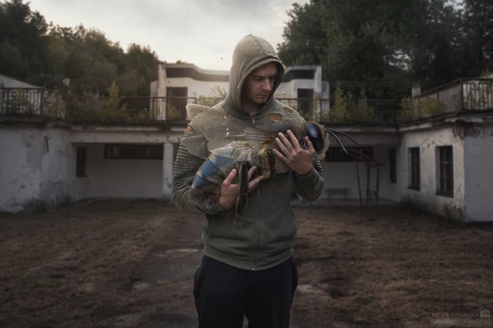 Man Holds Giant Bee by Peter Cakovsky — canvas wall art
