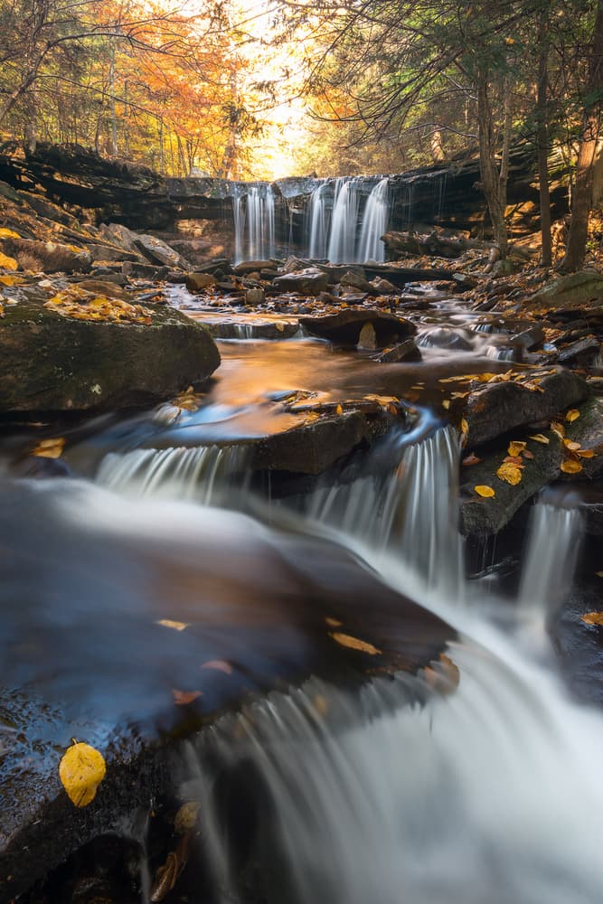 Autumn Forest Waterfall by Nick Kalathas — canvas wall art