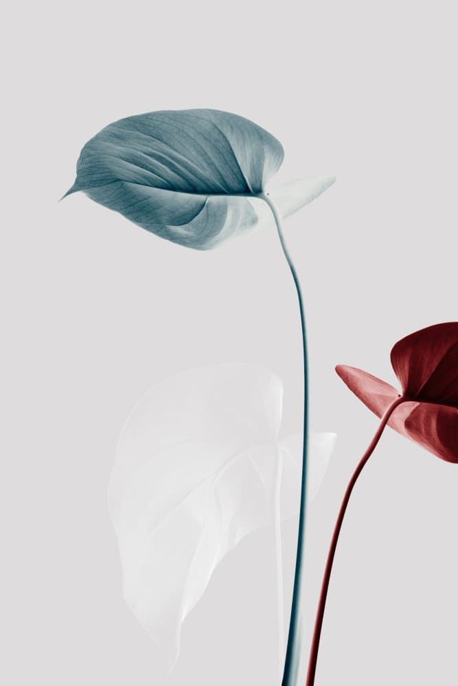 Muted Tropical Leaves by Pictufy Studio III — canvas wall art
