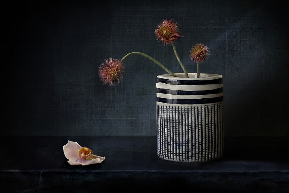 Moody Spiky Flowers by Elena Arjona — canvas wall art