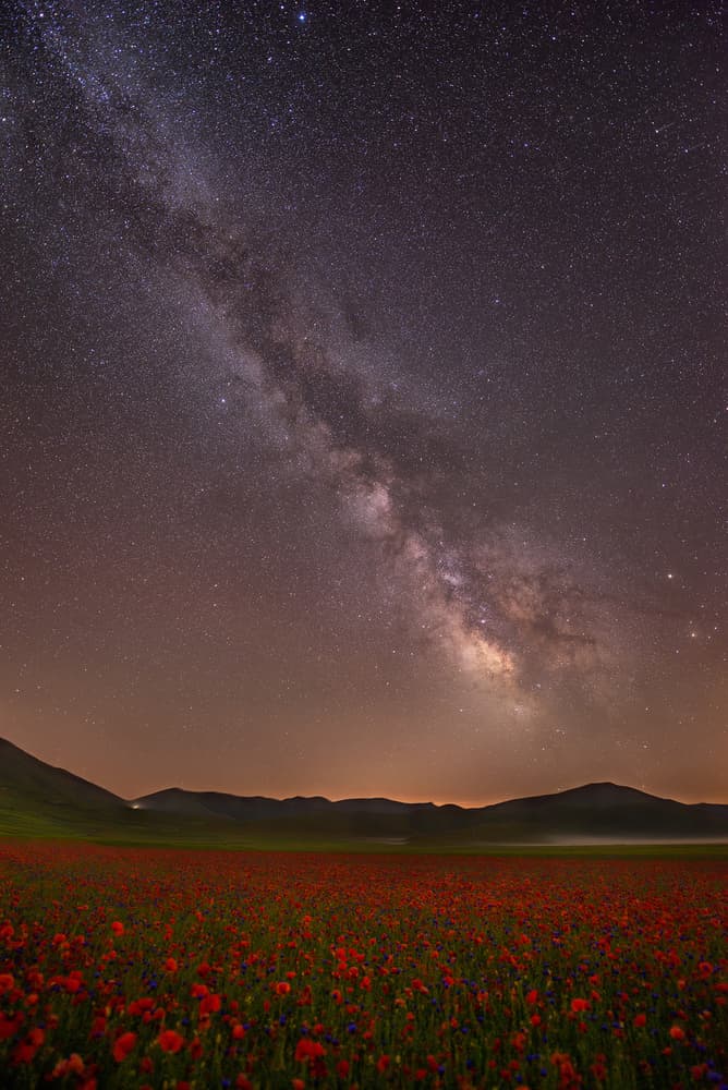 Milky Way Over Flowers by Roberto Marchegiani — canvas wall art