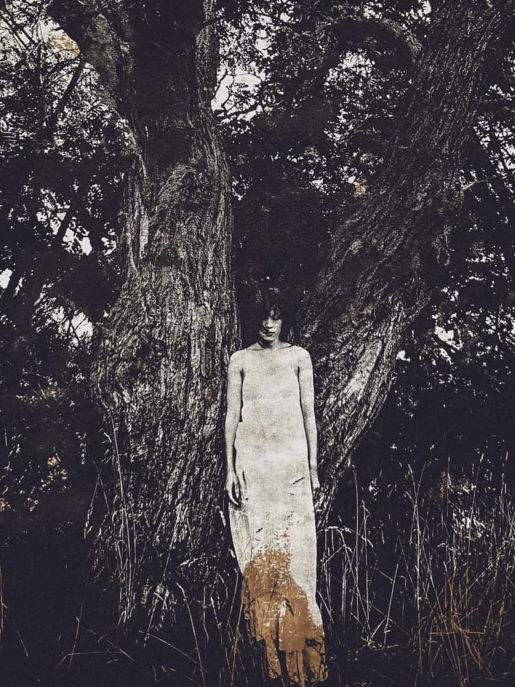 Haunting Woman Dark Woods by Kurosaki Sangan — canvas wall art
