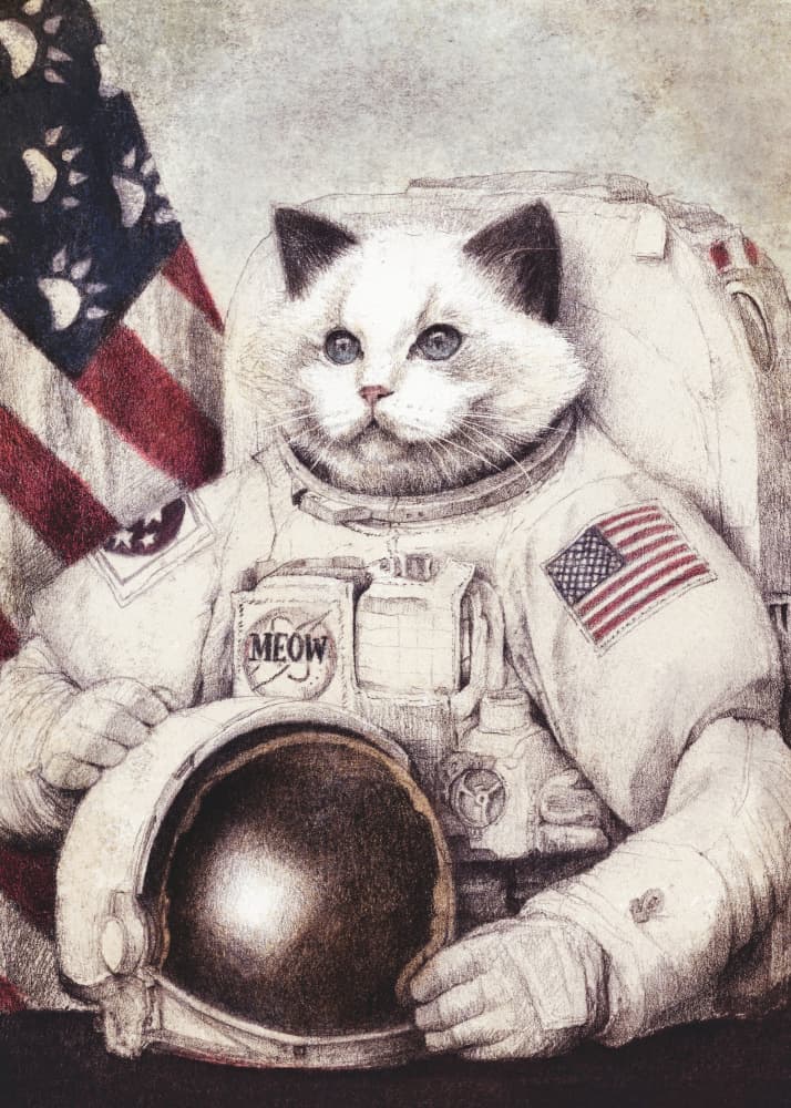 Meow Out of Space by Mike Koubou — canvas wall art