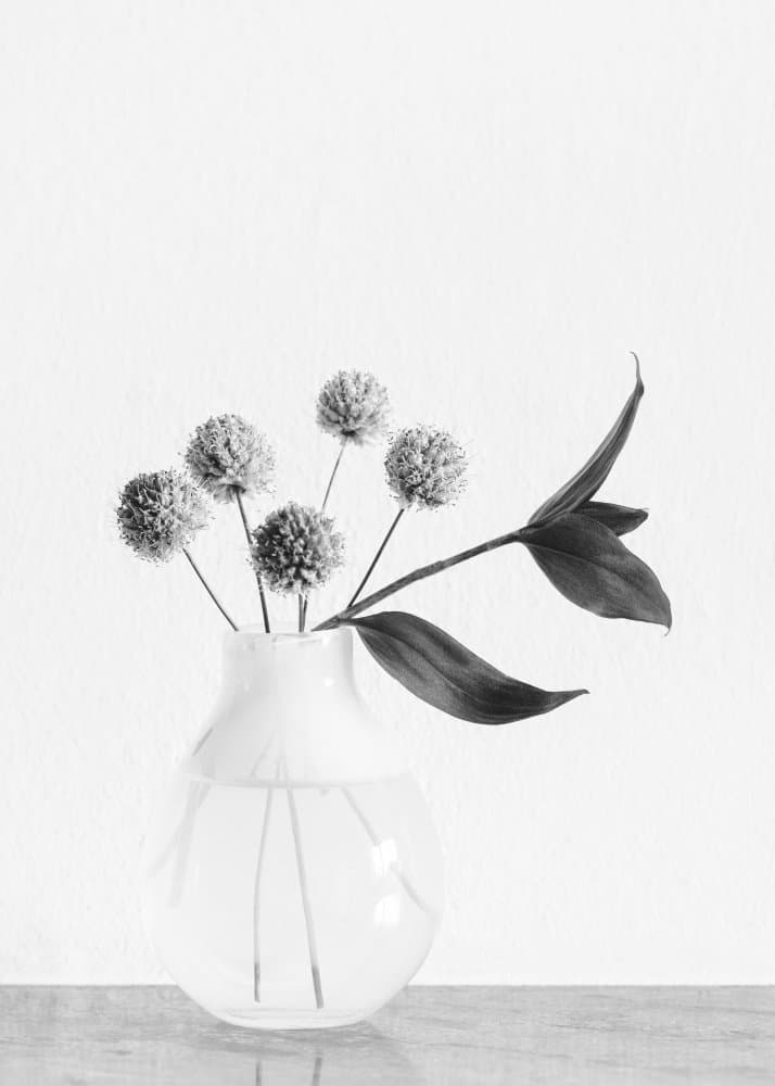 Minimalist Floral Arrangement by Pictufy Studio III — canvas wall art