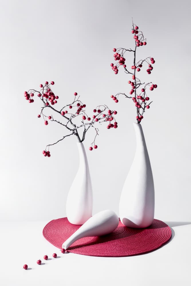 Minimal Red Berry Vases by jenny j rao — canvas wall art