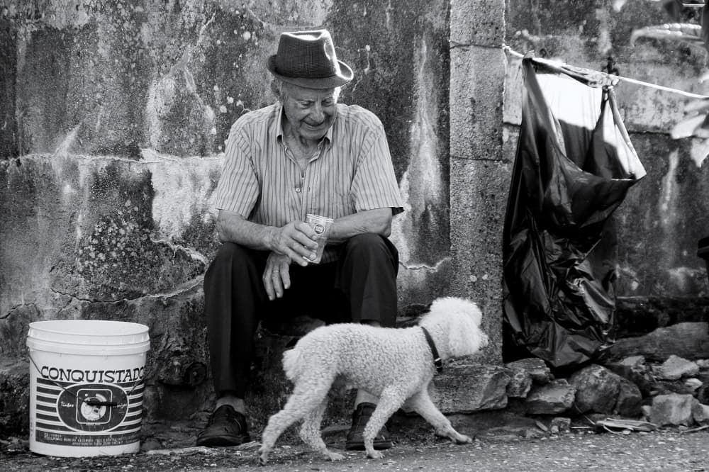 Old Man and Dog by Fernando Alves — canvas wall art