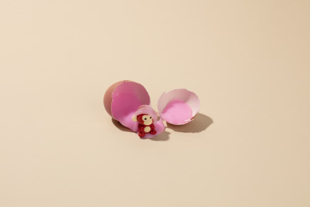 Hatching Monkey Surprise by Julia Ramiro — canvas wall art