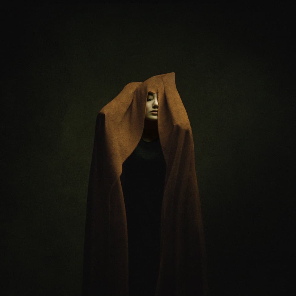 Mysterious Woman Portrait by Moein Hasheminasab — canvas wall art