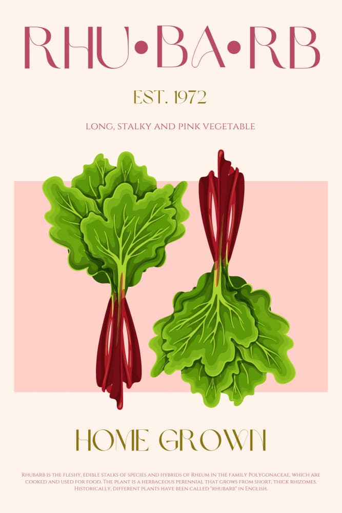 Rhubarb Home Grown by Nazma Khokhar — canvas wall art