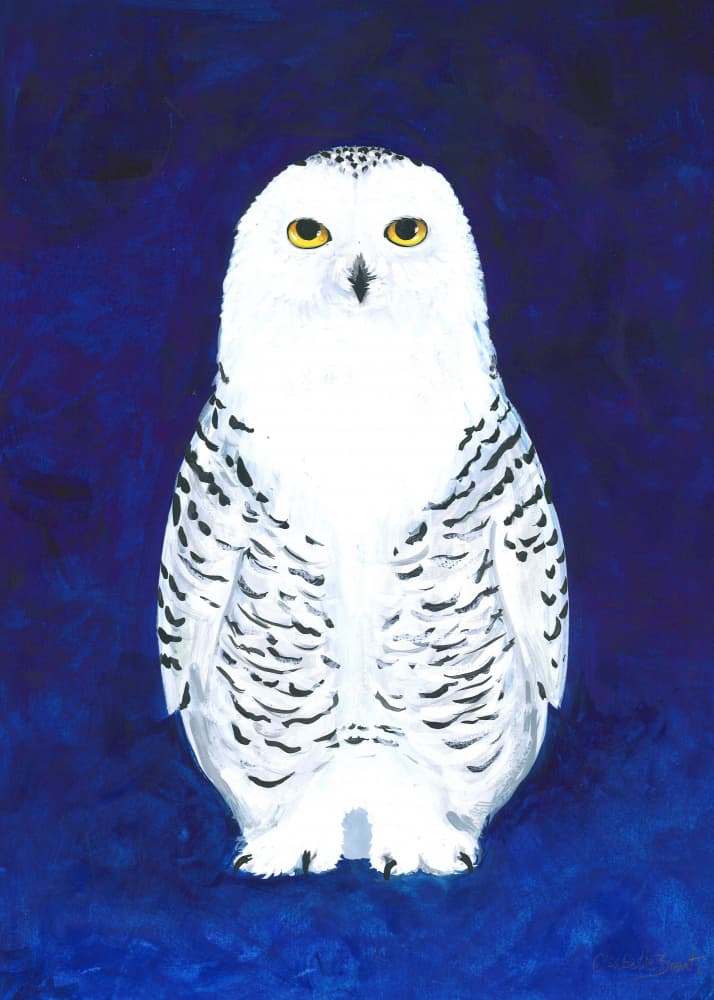 Solemn Snowy Owl by Isabelle Brent — canvas wall art