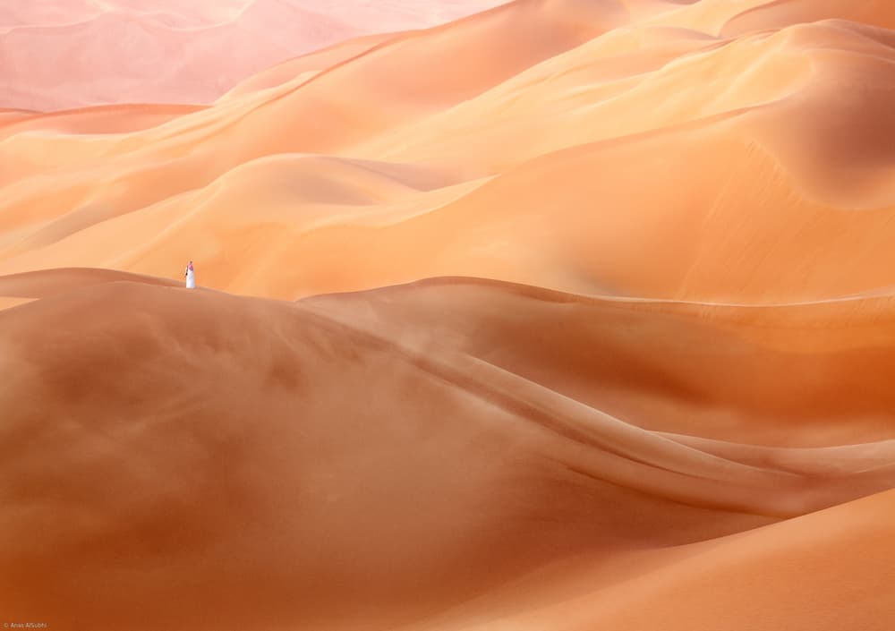 Desert Beauty by Anas AlSubhi — canvas wall art