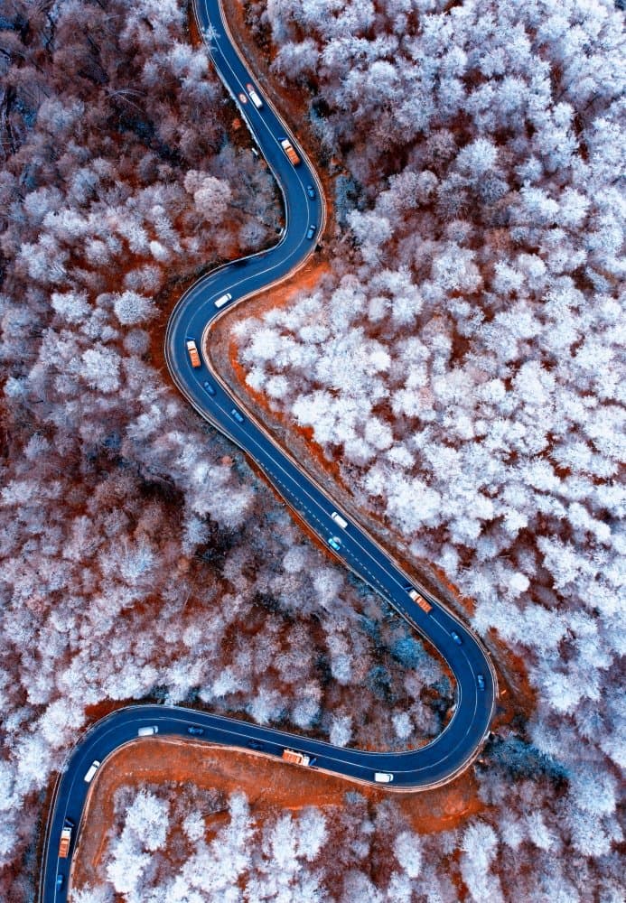 Winding Winter Road by Mihai Bogdan R — canvas wall art