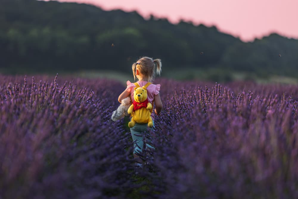 Lavender Field Childhood by Dmitry Stepanov — canvas wall art