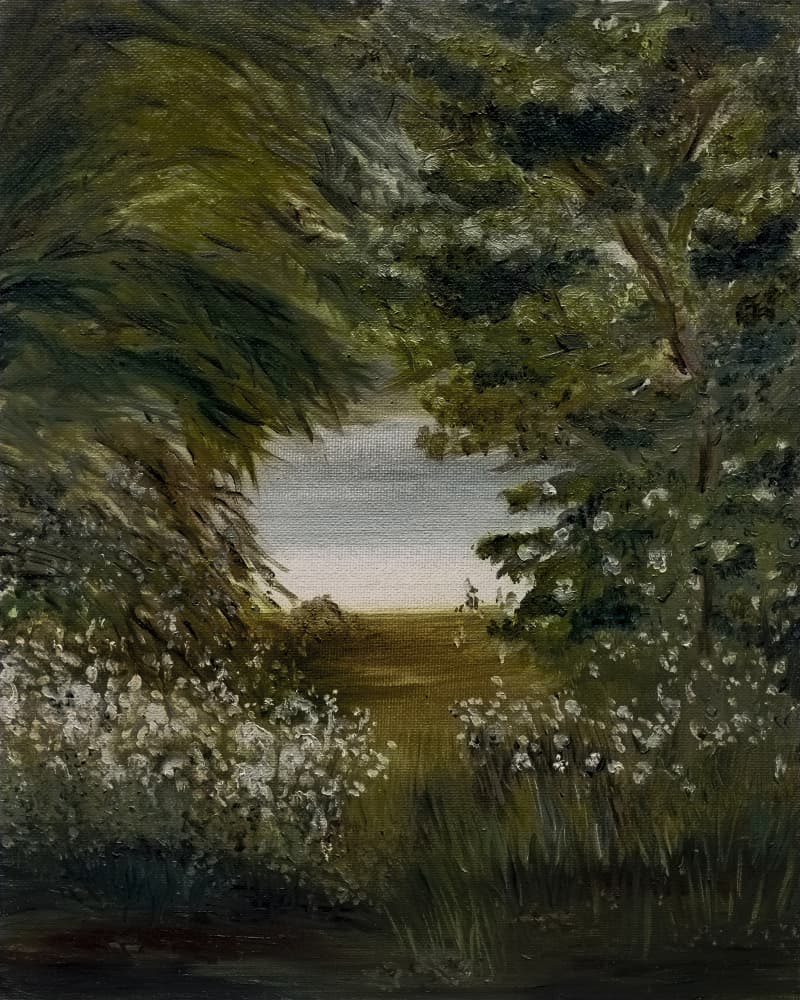 Serene Path to Lake by Emily Tingey — canvas wall art