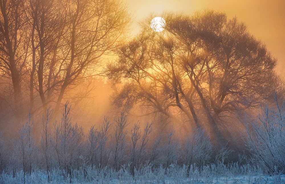Golden Winter Sunrise by Keller — canvas wall art