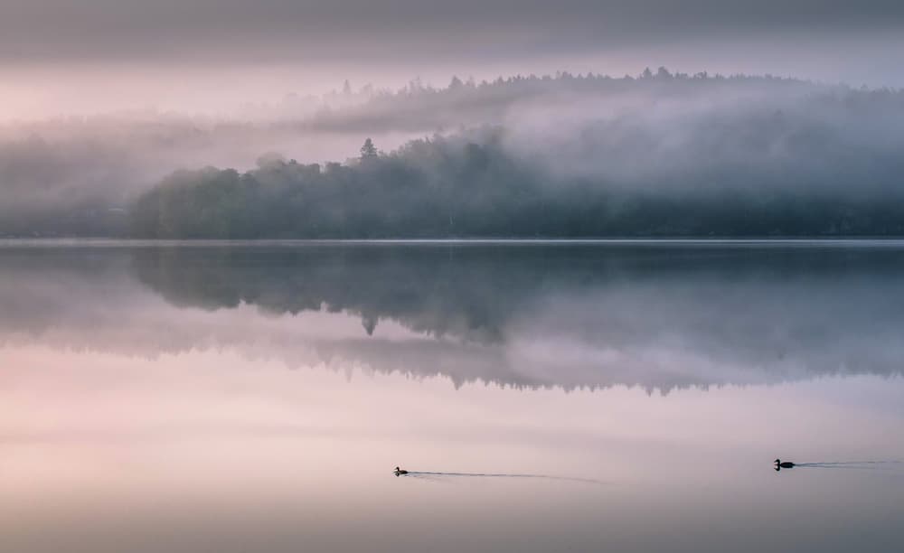 Misty Lake Forest Reflection by Benny Pettersson — canvas wall art